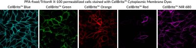 CellBrite® Cytoplasmic Membrane Dyes - Image 9