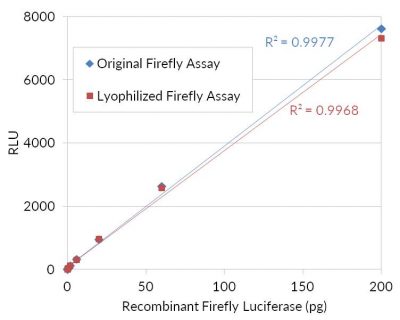 Firefly Luciferase Assay Kit (Lyophilized) - Image 3