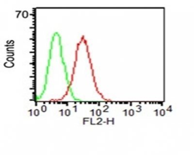 Monoclonal anti CD34 (ICO 115)