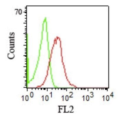 Monoclonal anti CD1b (RIV12)