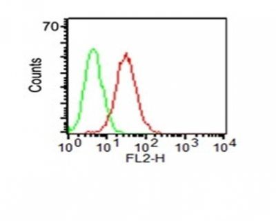 Monoclonal anti CD34 (HPCA1/1171)