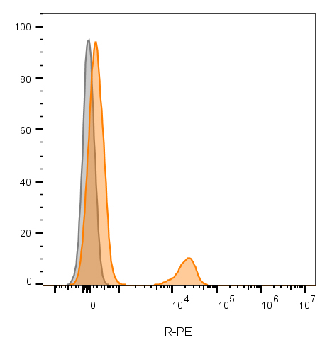 CD19 Monoclonal Mouse Antibody (CVID3/155) - Image 2