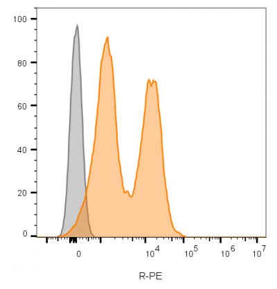 CD56 / NCAM Monoclonal Mouse Antibody (123C3.D5) - Image 2