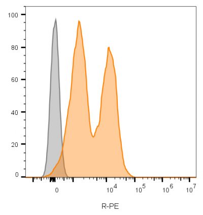 CD56 / NCAM Monoclonal Mouse Antibody (123C3.D5 + 123A8) - Image 3