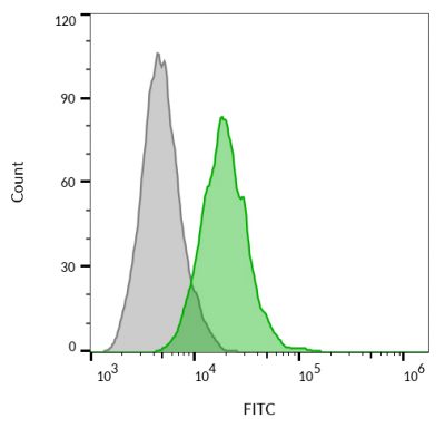 CD63 Monoclonal Mouse Antibody (MX-49.129.5) - Image 7