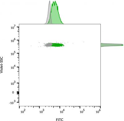 CD63 Monoclonal Mouse Antibody (MX-49.129.5) - Image 11