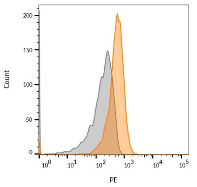 CD63 Monoclonal Mouse Antibody (LAMP3/968) - Image 4