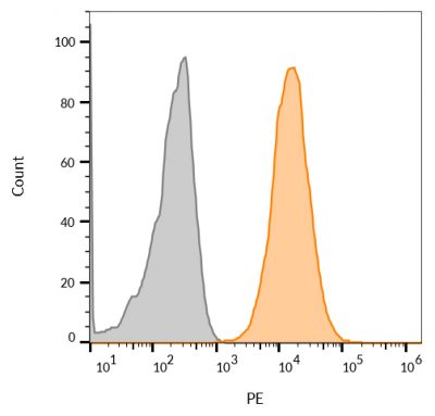 CD63 Monoclonal Mouse Antibody (LAMP3/968) - Image 3