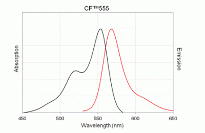 CF555-ddCTP