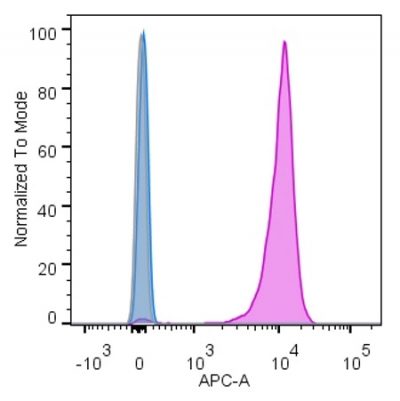 Nucleolin Monoclonal Mouse Antibody (364-5) - Image 9