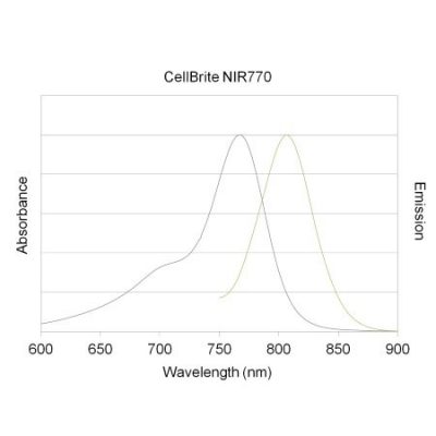 CellBrite NIR Cytoplasmic Membrane Dyes