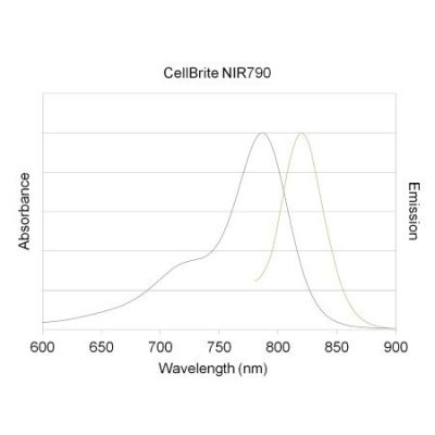 CellBrite NIR Cytoplasmic Membrane Dyes