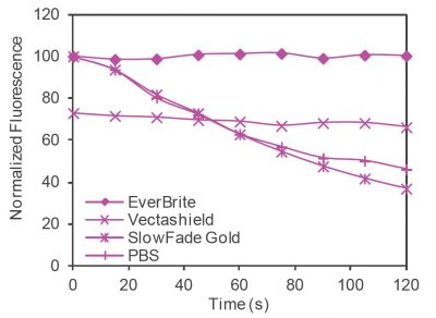 EverBrite™ Mounting Medium - Image 5