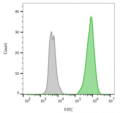 Ep-CAM / CD326 Monoclonal Mouse Antibody (Cocktail PAN-EpCAM) - Image 2