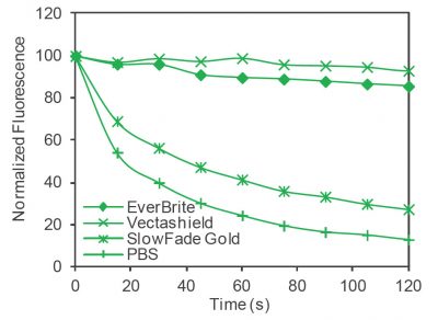 EverBrite™ Mounting Medium - Image 4