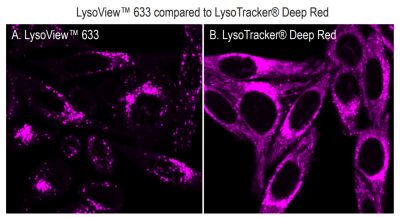 LysoView™ Dyes - Image 11