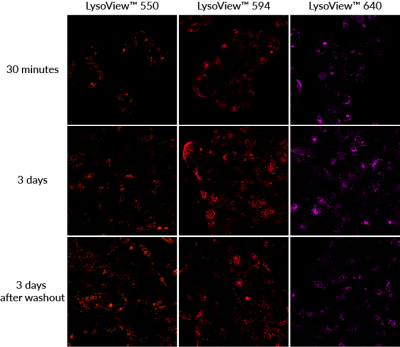 LysoView™ Dyes - Image 3