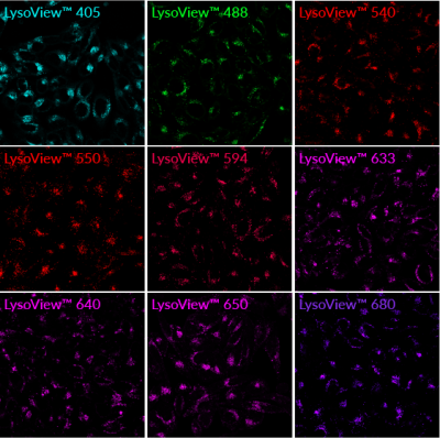 LysoView™ Dyes - Image 2