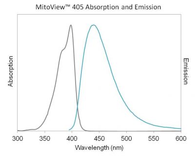 MitoView™ Mitochondrial Dyes - Image 11