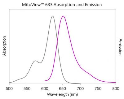 MitoView™ Mitochondrial Dyes - Image 13