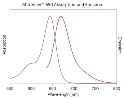 MitoView™ Mitochondrial Dyes - Image 14