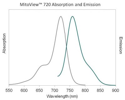 MitoView™ Mitochondrial Dyes - Image 15