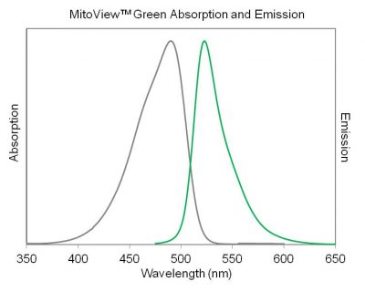 MitoView™ Mitochondrial Dyes - Image 12