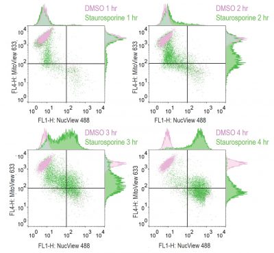 MitoView™ Mitochondrial Dyes - Image 8