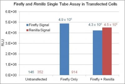 Firefly & Renilla Luciferase Single Tube Assay Kit - Image 5