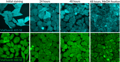 ViaFluor® SE Cell Proliferation Kits - Image 9