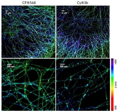 Mix-n-Stain™ STORM CF® Dye Antibody Labeling Kits - Image 6