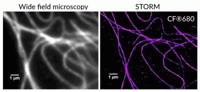 Mix-n-Stain™ STORM CF® Dye Antibody Labeling Kits - Image 5