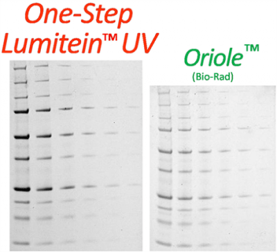 One-Step Lumitein™ UV Protein Gel Stain<svg class="svgicon svg-earthfriendly"><use xlink:href="#svg-earthfriendly"></use></svg> - Image 2