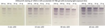 DNAzure® Blue Nucleic Acid Gel Stain, 100X - Image 6