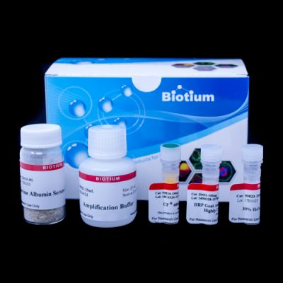 Tyramide Amplification Kit with HRP Streptavidin and CF® Dye or Biotin Tyramide