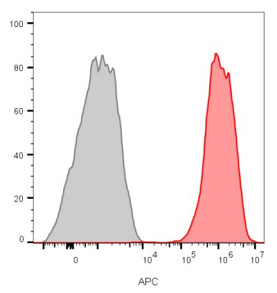 CD81 / TAPA-1 Monoclonal Mouse Antibody (1.3.3.22)