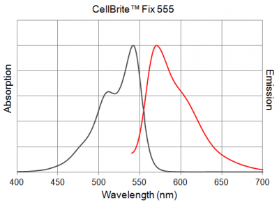 CellBrite® Fix Membrane Stains - Image 8