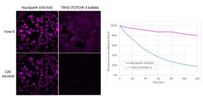 NucSpot® Nuclear Stains - Image 6