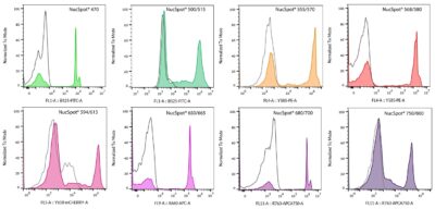 NucSpot® Nuclear Stains - Image 8