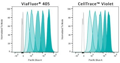 ViaFluor® SE Cell Proliferation Kits - Image 3