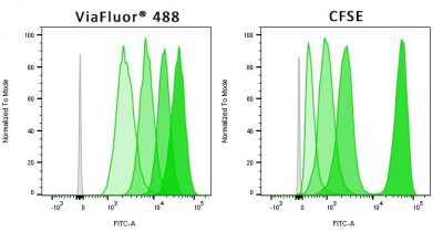 ViaFluor® SE Cell Proliferation Kits - Image 4