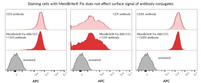 MemBrite® Fix Cell Surface Staining Kits - Image 12