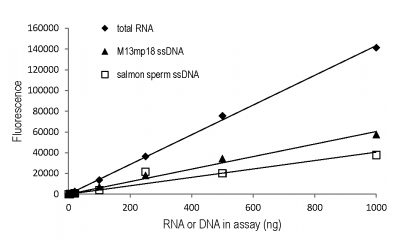 AccuBlue® Broad Range RNA Quantitation Kit - Image 8