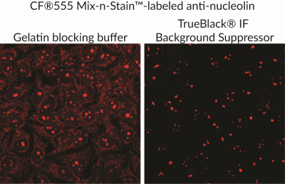 TrueBlack® IF Background Suppressor System (Permeabilizing) - Image 4