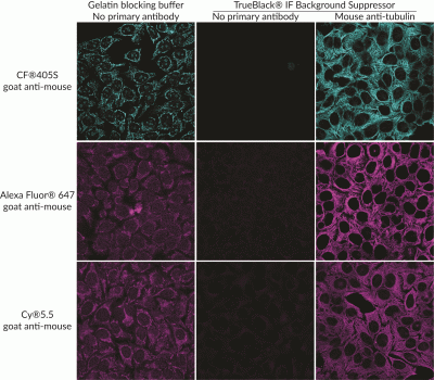 TrueBlack® IF Background Suppressor System (Permeabilizing) - Image 2