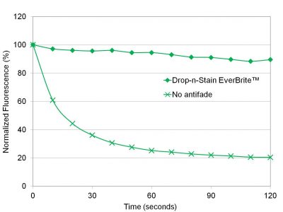 Drop-n-Stain EverBrite FITC