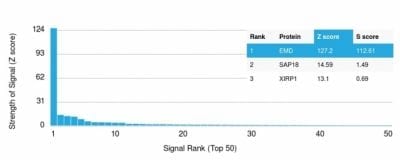 Analysis of Protein Array containing more than 19000 full-length human proteins using Mouse Emerin Monoclonal Antibody (EMD/2168) Z- and S- Score: The Z-score represents the strength of a signal that a monoclonal antibody (MAb) (in combination with a fluorescently-tagged anti-IgG secondary antibody) produces when binding to a particular protein on the HuProtTM array. Z-scores are described in units of standard deviations (SD’s) above the mean value of all signals generated on that array. If targets on HuProtTM are arranged in descending order of the Z-score the S-score is the difference (also in units of SD’s) between the Z-score. S-score therefore represents the relative target specificity of a MAb to its intended target.  A MAb is considered to specific to its intended target if the MAb has an S-score of at least 2.5. For example if a MAb binds to protein X with a Z-score of 43 and to protein Y with a Z-score of 14 then the S-score for the binding of that MAb to protein X is equal to 29.