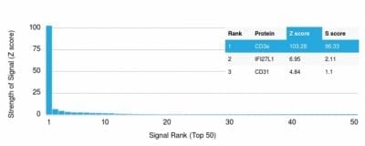 Analysis of Protein Array containing more than 19000 full-length human proteins using CD3e Mouse Monoclonal Antibody (C3e/2478) Z- and S- Score: The Z-score represents the strength of a signal that a monoclonal antibody (MAb) (in combination with a fluorescently-tagged anti-IgG secondary antibody) produces when binding to a particular protein on the HuProtTM array. Z-scores are described in units of standard deviations (SD’s) above the mean value of all signals generated on that array. If targets on HuProtTM are arranged in descending order of the Z-score the S-score is the difference (also in units of SD’s) between the Z-score. S-score therefore represents the relative target specificity of a MAb to its intended target.  A MAb is considered to specific to its intended target if the MAb has an S-score of at least 2.5. For example if a MAb binds to protein X with a Z-score of 43 and to protein Y with a Z-score of 14 then the S-score for the binding of that MAb to protein X is equal to 29.