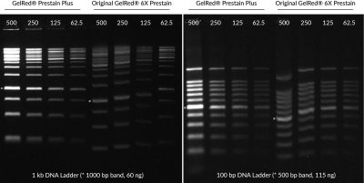 GelRed® Prestain Plus 6X DNA Loading Dye<svg class="svgicon svg-earthfriendly"><use xlink:href="#svg-earthfriendly"></use></svg> - Image 3