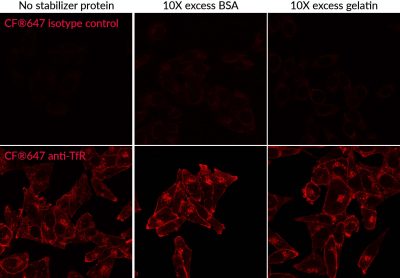 Mix-n-Stain™ Maxi Antibody Labeling Kits, 1 mg Labeling - Image 4